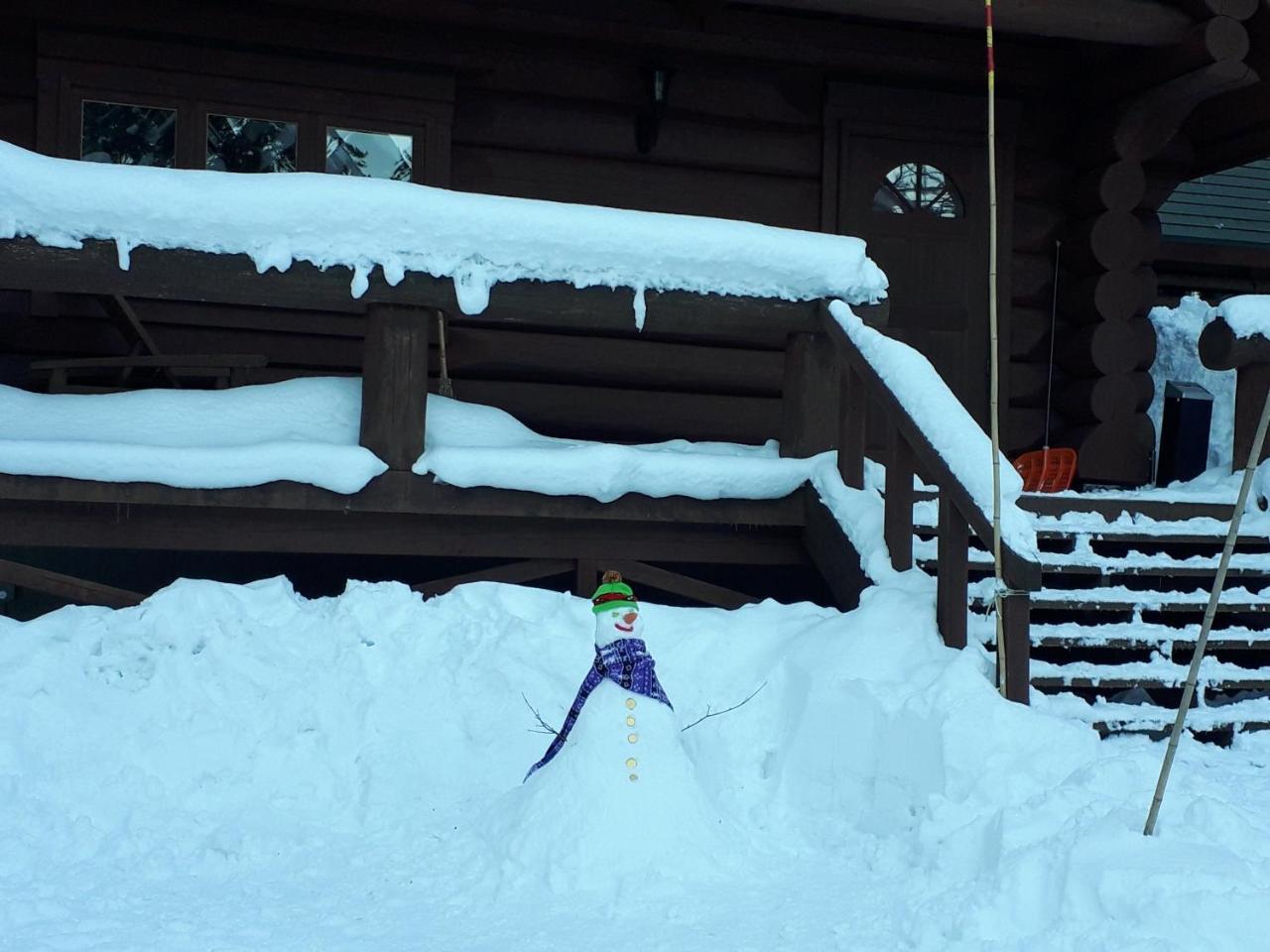 Campagne Hakuba Villa Room photo